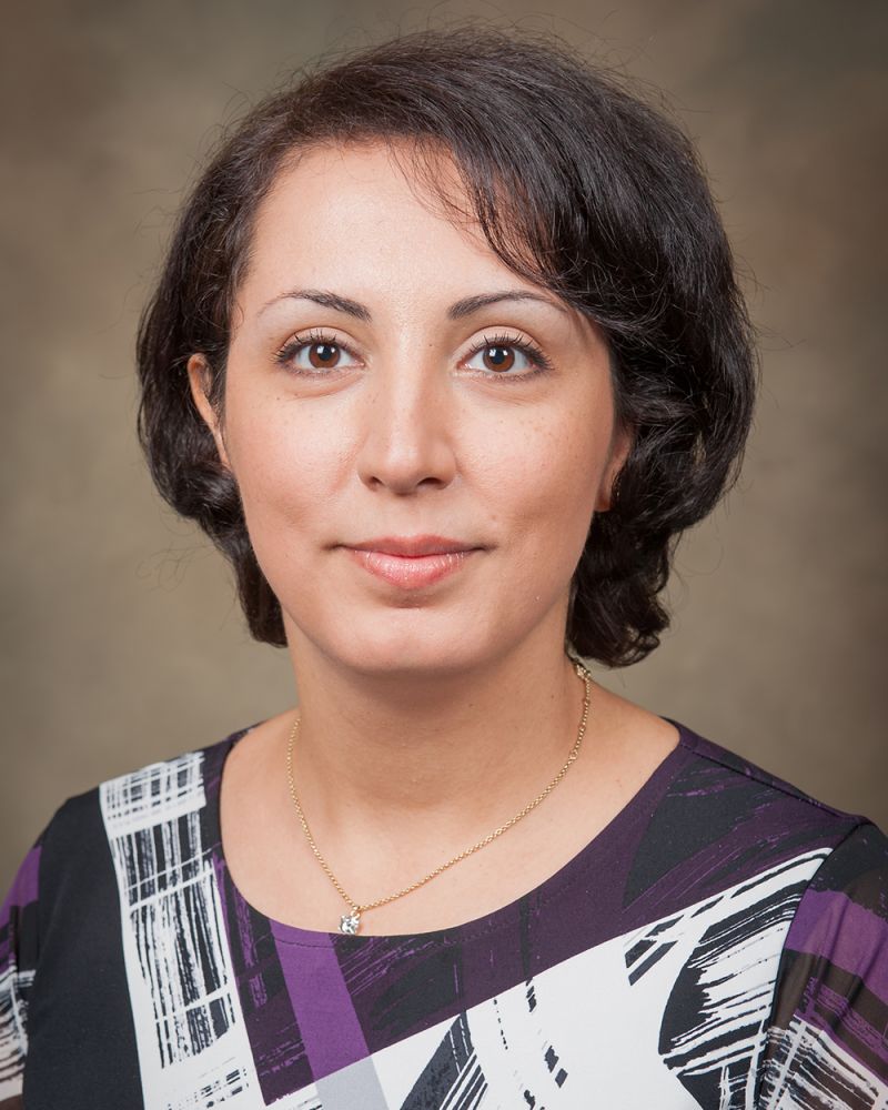Picture of Dr. Mojdeh Rasoulzadeh