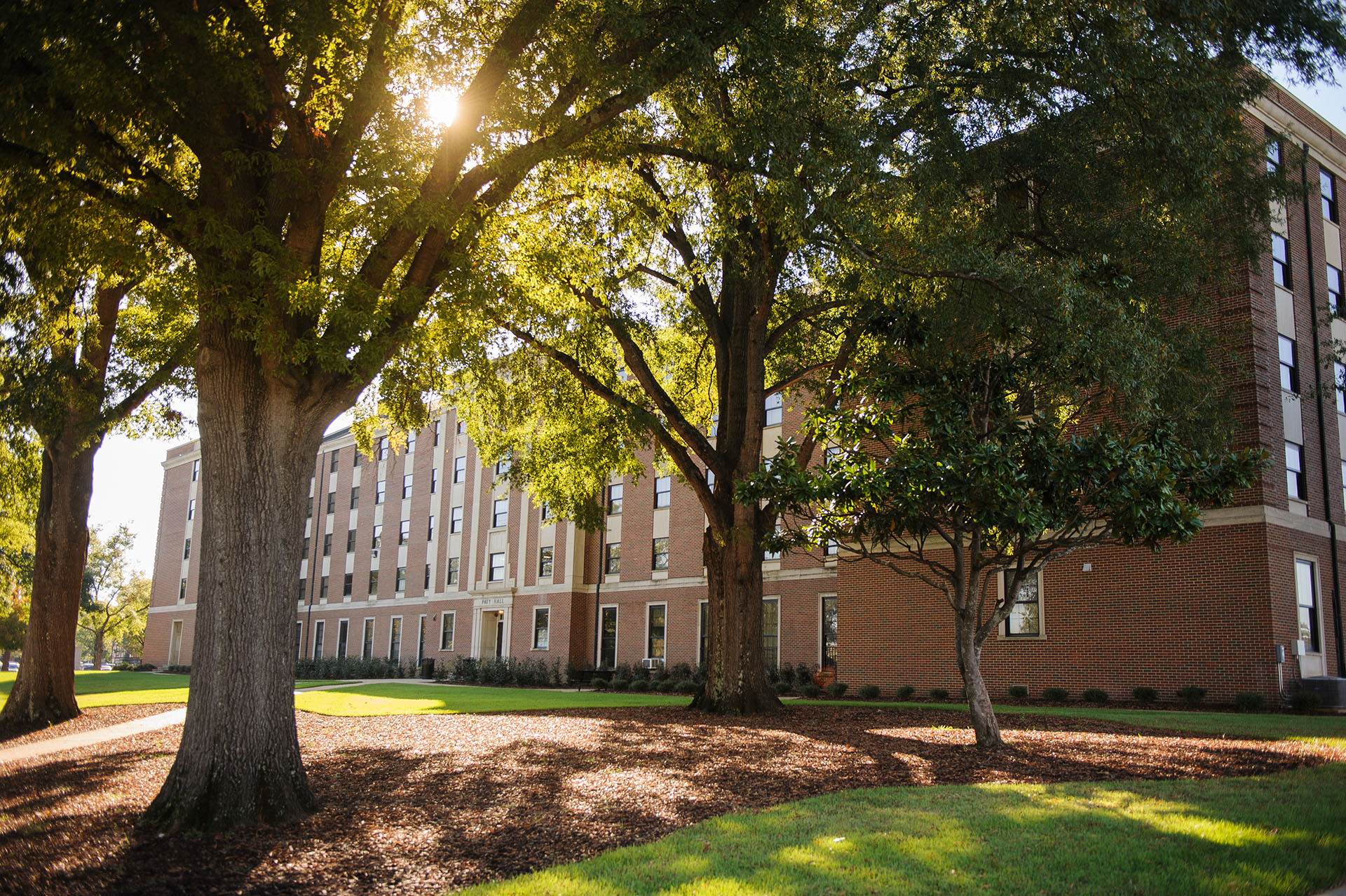 Paty Hall