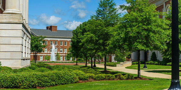 View of the Engineering Quad with trees on a sunny day.