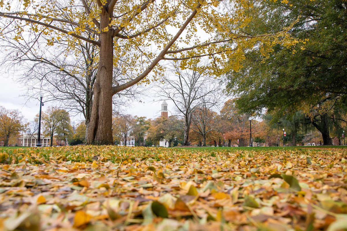 Twitter photo of the quad with fall leaves on the ground and an overcast day