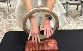 decorative intro image for page