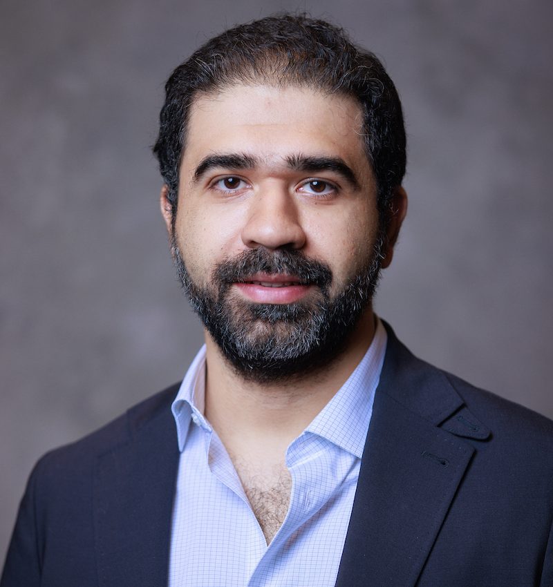 Picture of Dr. Mahmoud Mahmoud